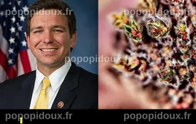 Face à des défaites à Atlanta, le Parti républicain de Géorgie envisage de supprimer les étiquettes partisanes