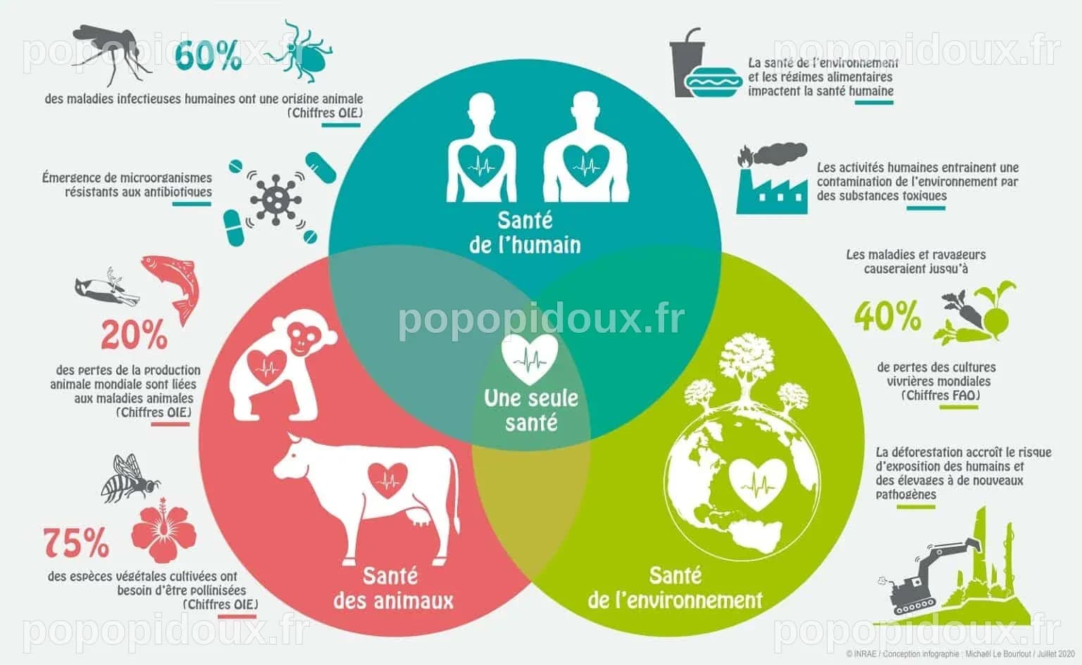 «One Health», notion émergente | vih.org