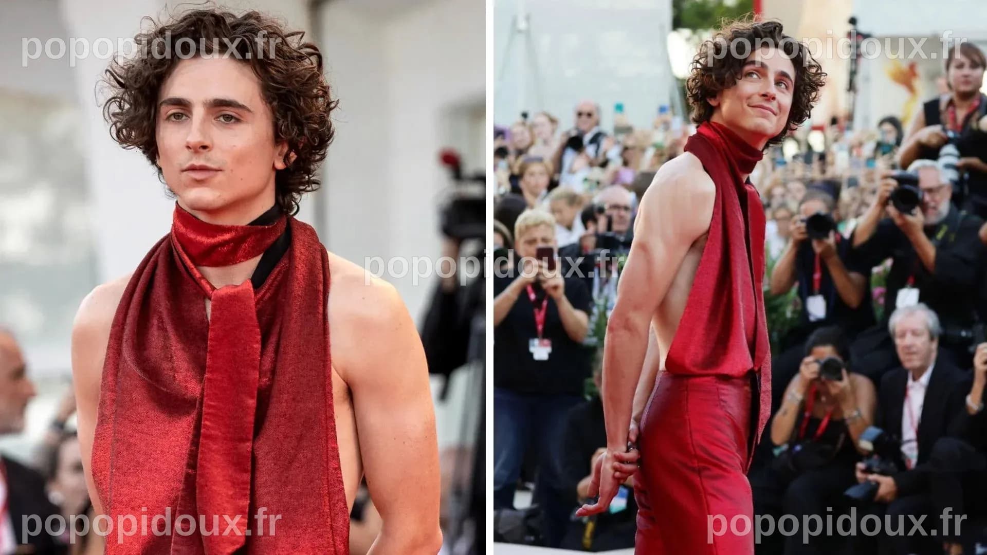 Net Worth Of Timothée Chalamet