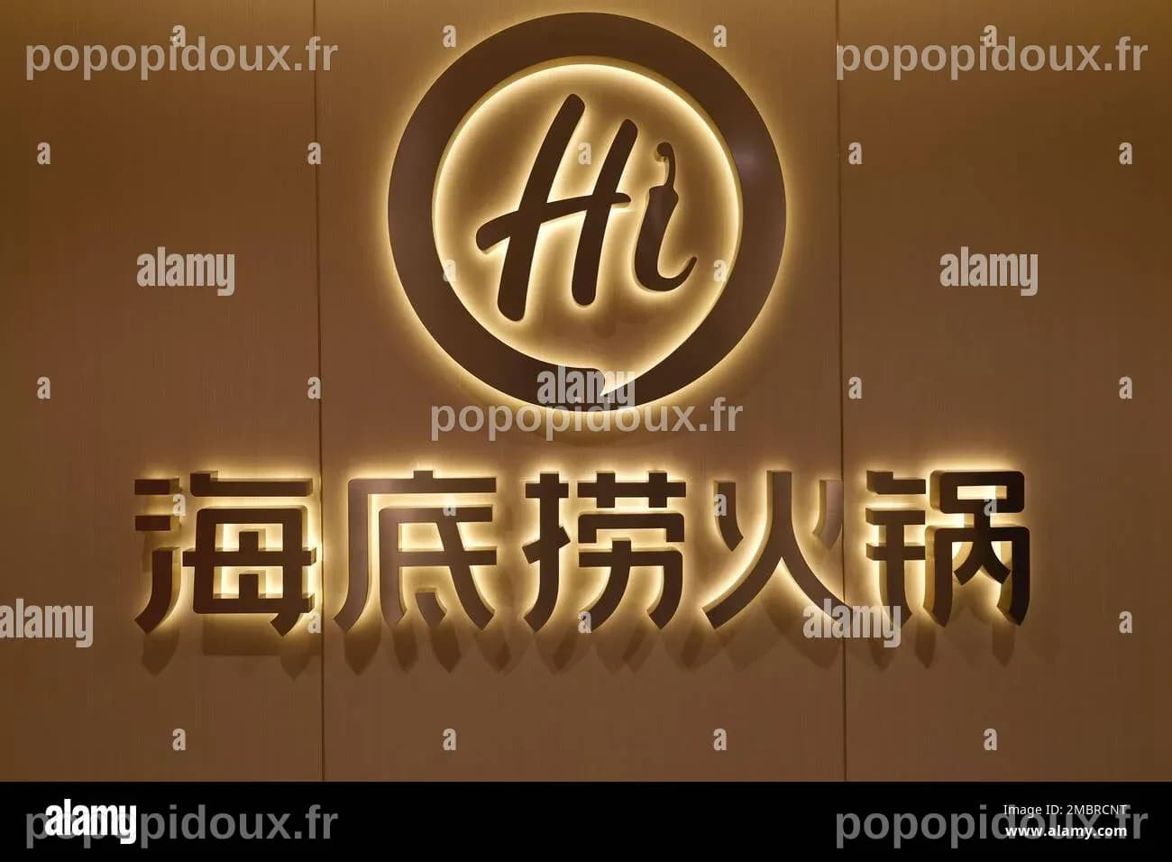 Wuhan,Chine-Jan. Mat 2023 : gros plan sur le logo de la marque du ...