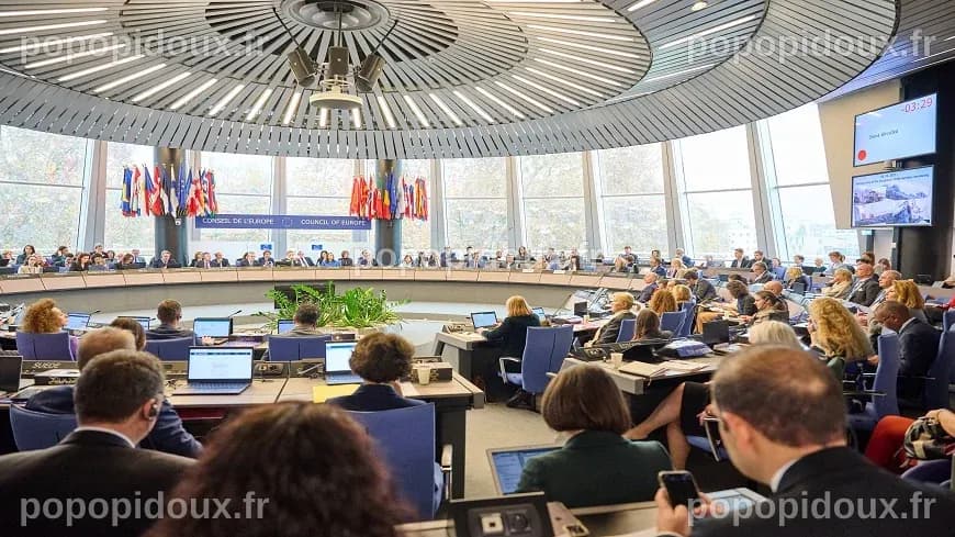 Mise en œuvre des arrêts de la Cour européenne des droits de l’Homme ...