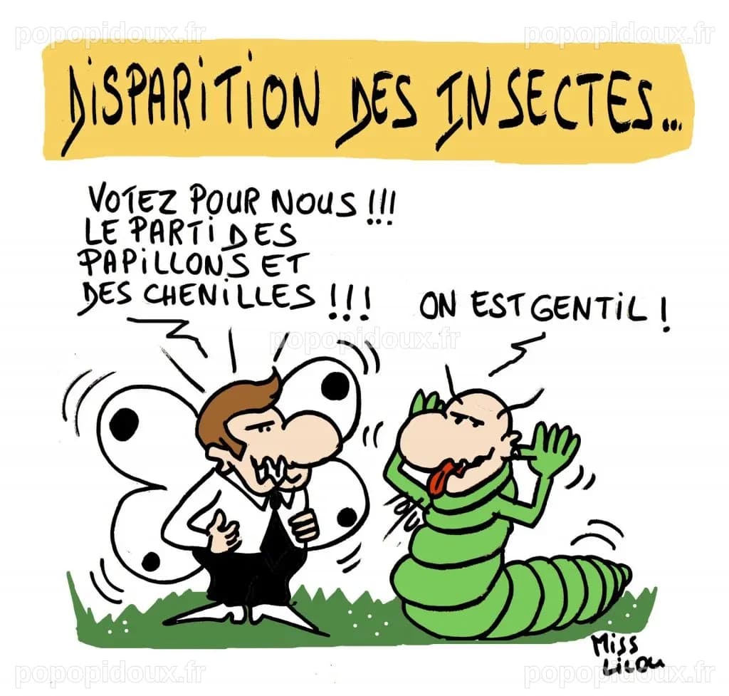 La disparition des insectes… – Blagues et Dessins
