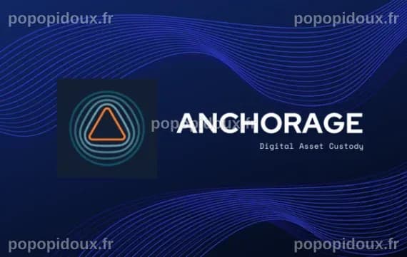 Crypto Custody Firm Anchorage Offers Support for 5 More DeFi Tokens ...