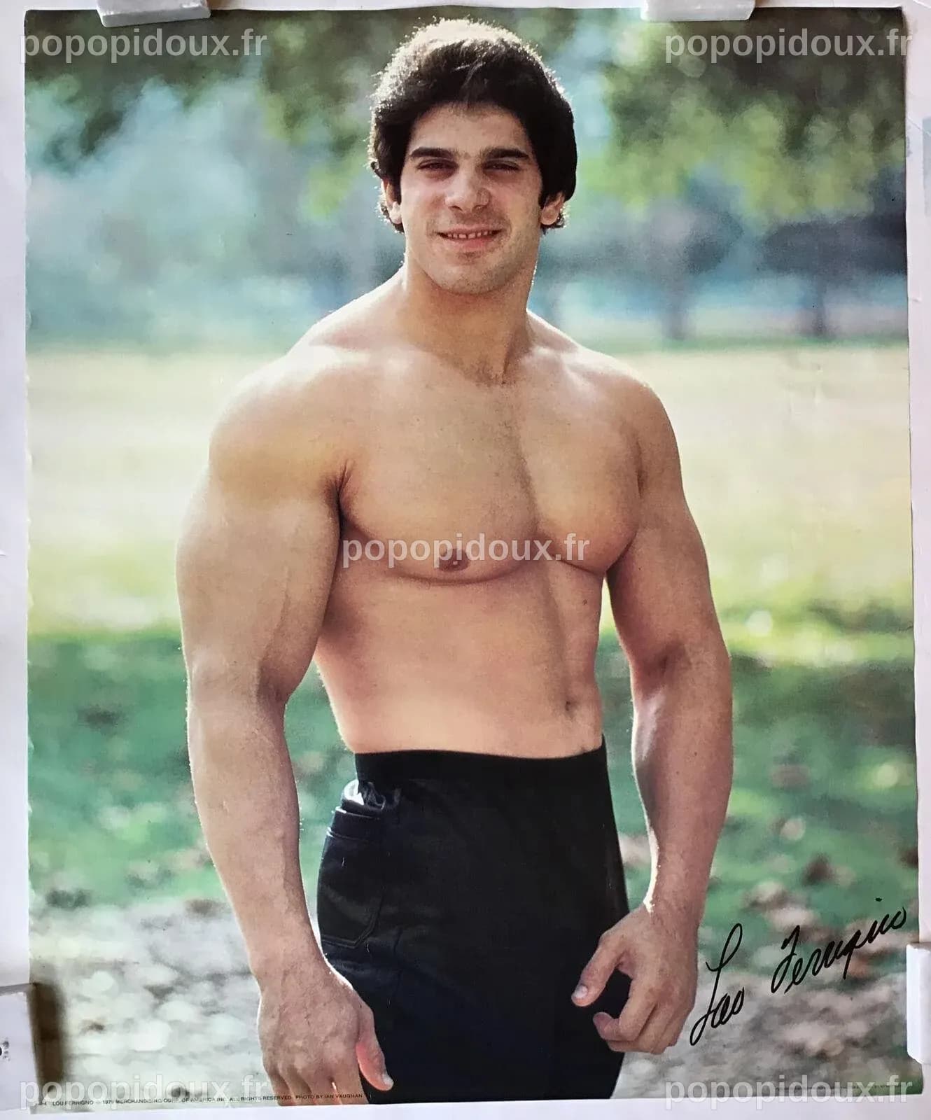 Lou Ferrigno Wallpapers - Top Free Lou Ferrigno Backgrounds ...