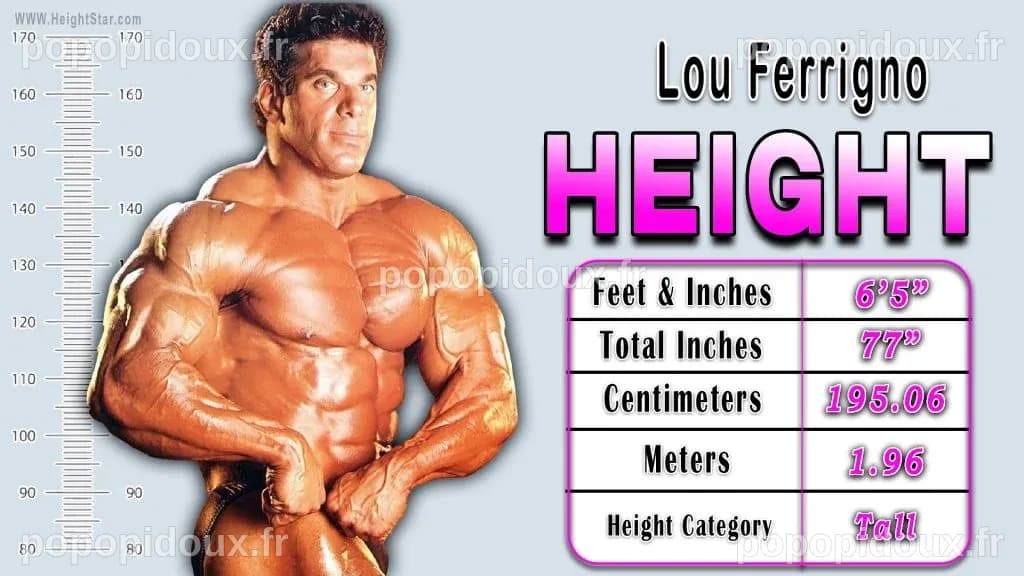La Taille de Lou Ferrigno : L'Héritage d'une Légende