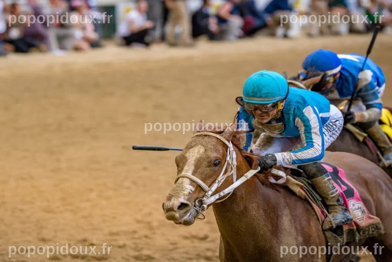Publisher | Horses | Kentucky Derby Horse Information