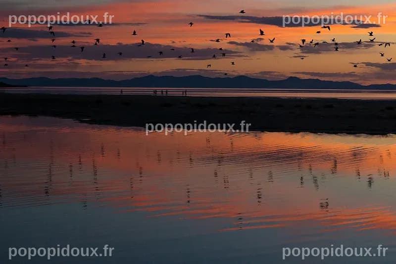 Le plan audacieux pour revitaliser le Grand Lac Salé