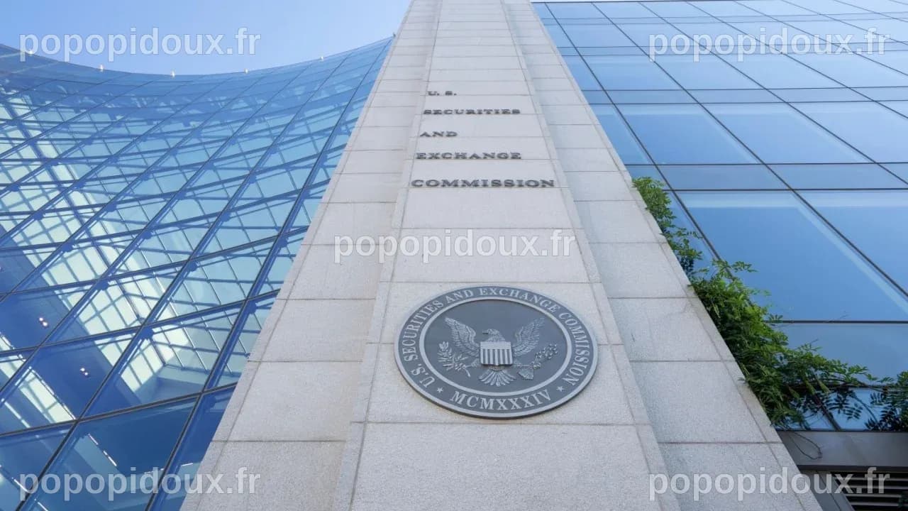 Le Commissaire de la SEC critique les échappatoires des pièces mèmes ...