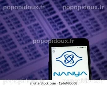 Les actions de Nanya Technology s'envolent de 10 % suite à un placement privé de 2,5 milliards de dollars