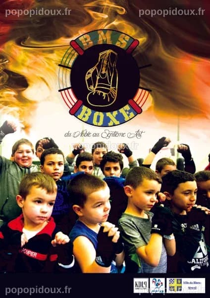 Les nouvelles stars de la boxe | BMS Boxe Anglaise