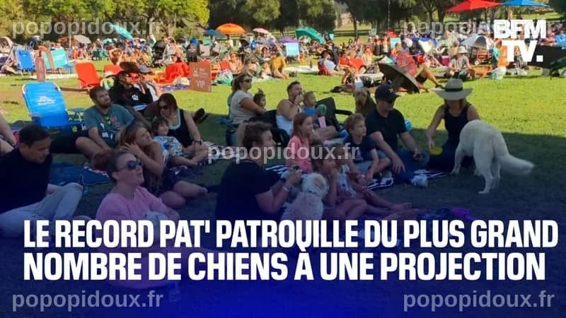 États-Unis: ils battent le record du monde du plus grand nombre de ...