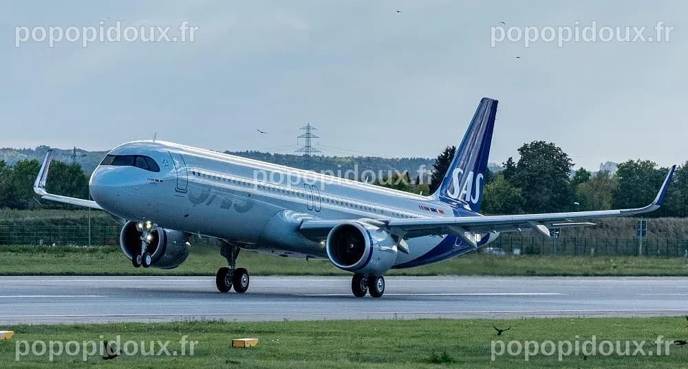 Un tribunal américain approuve l'accord d'investissement de SAS avec le ...