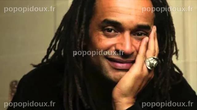 Yannick Noah biography. Former French tennis player, now musician and ...