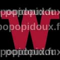 Winnebago Industries (NYSE:WGO) Stock Price News