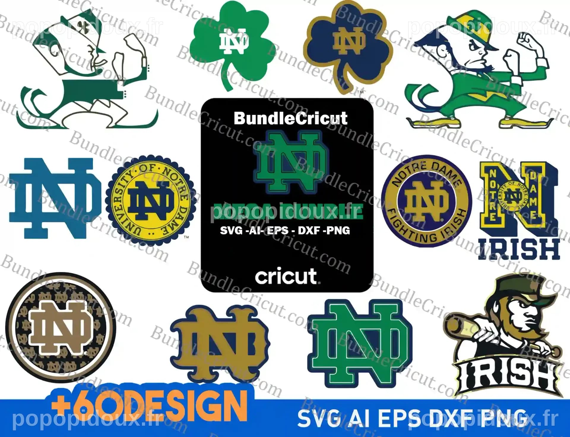 MARCH MADNESS : Les Fighting Irish de Notre Dame obtiennent la 6e tête de série pour le tournoi NCAA à Columbus