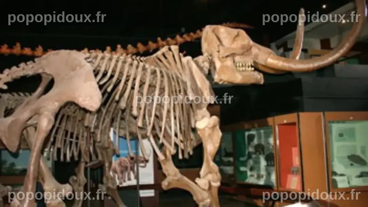 Piège mortel pour les mastodontes (Documentaire) où regarder TV, Replay ...