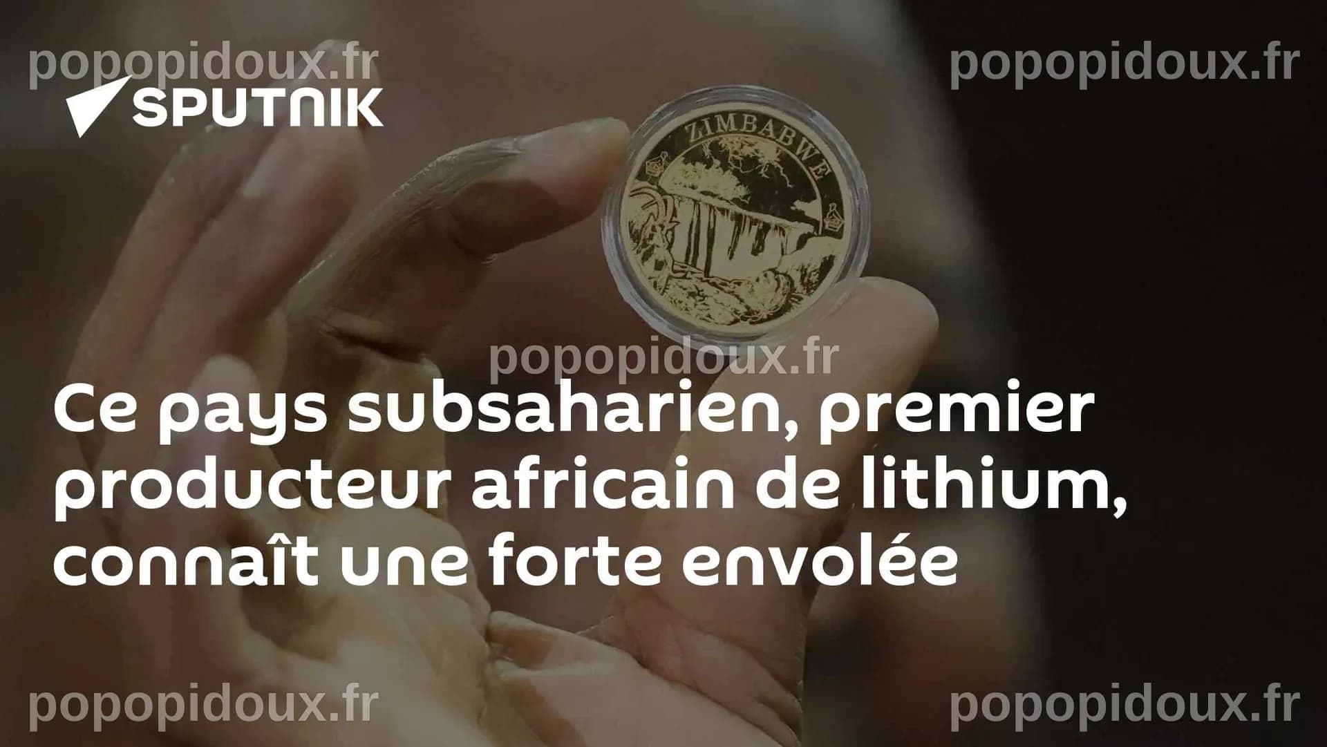 Ce pays subsaharien, premier producteur africain de lithium, connaît ...