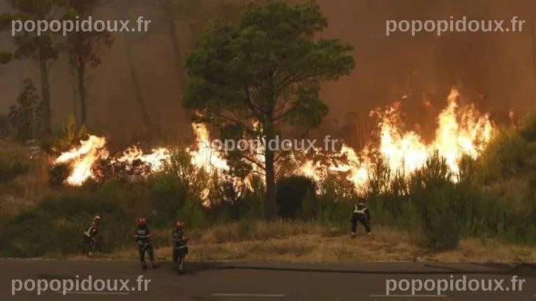 Des équipes de lutte contre les incendies luttent contre les incendies ...