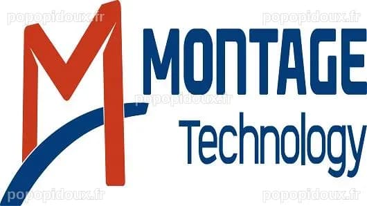 Montage Technology Group Ltd (MONT): GLG Partners Ups Passive Stake ...
