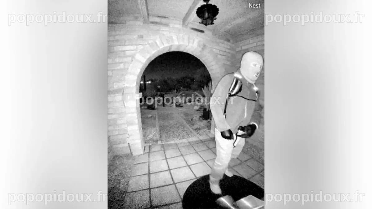 FBI profiler says Nancy Guthrie video evidence could narrow suspect ...