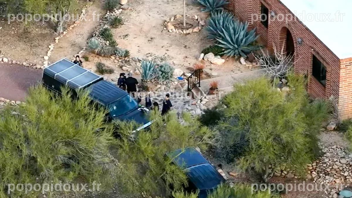 Nancy Guthrie missing: Former FBI agent describes 'dark' search ...