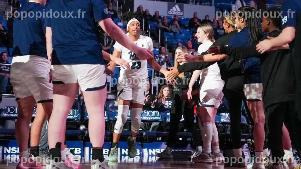 Nevada S'incline 79-66 en Demi-Finale Contre Utah State