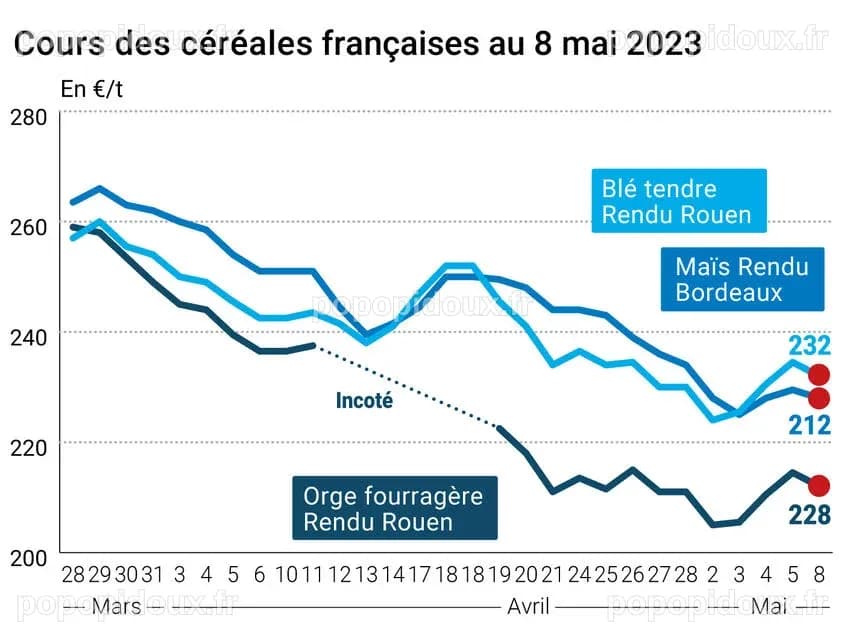 Qu'est-ce qui fait grimper les prix des céréales ?