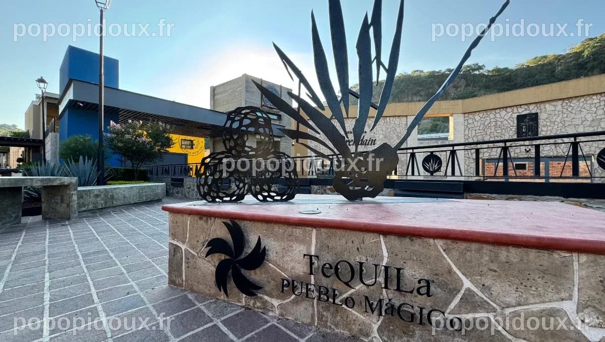 Un voyage à travers Tequila, Cocula et Ajijic : villes de magie et de ...