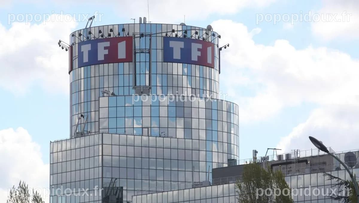 En forte baisse en 2022, TF1 reste la chaîne la plus regardée en France ...
