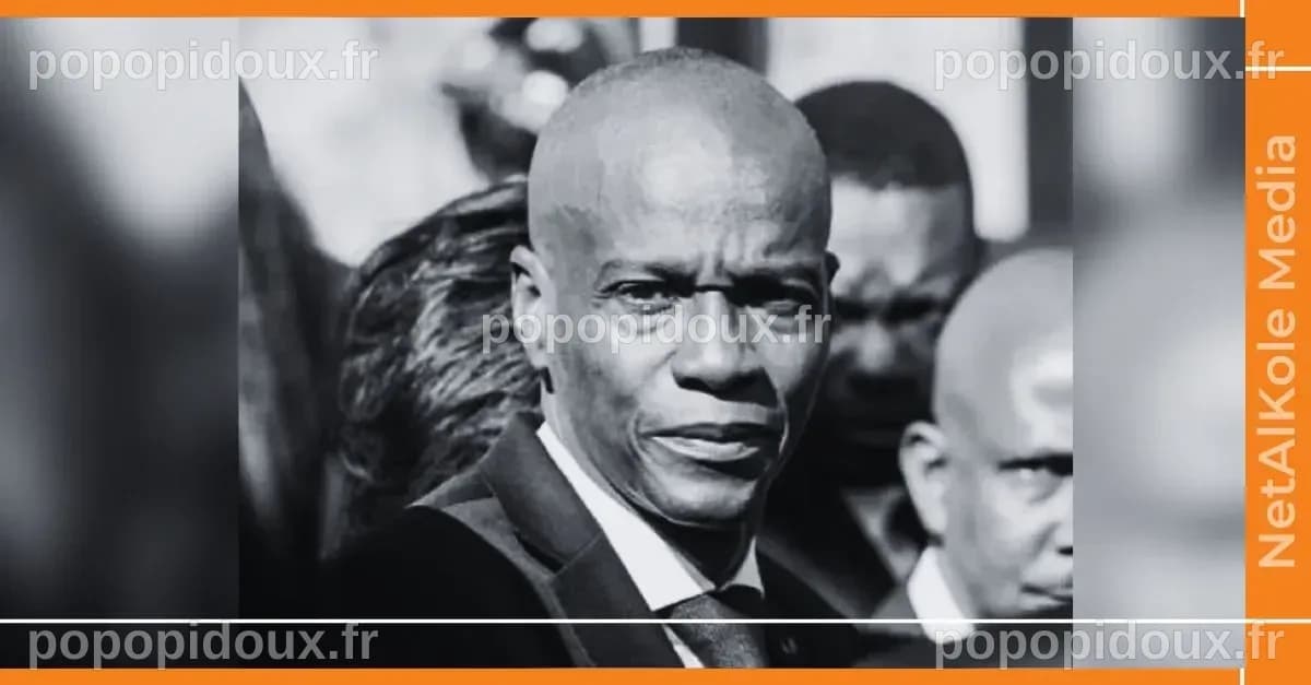 Un Homme D'affaires De Floride Plaide Coupable Dans L'affaire Jovenel ...