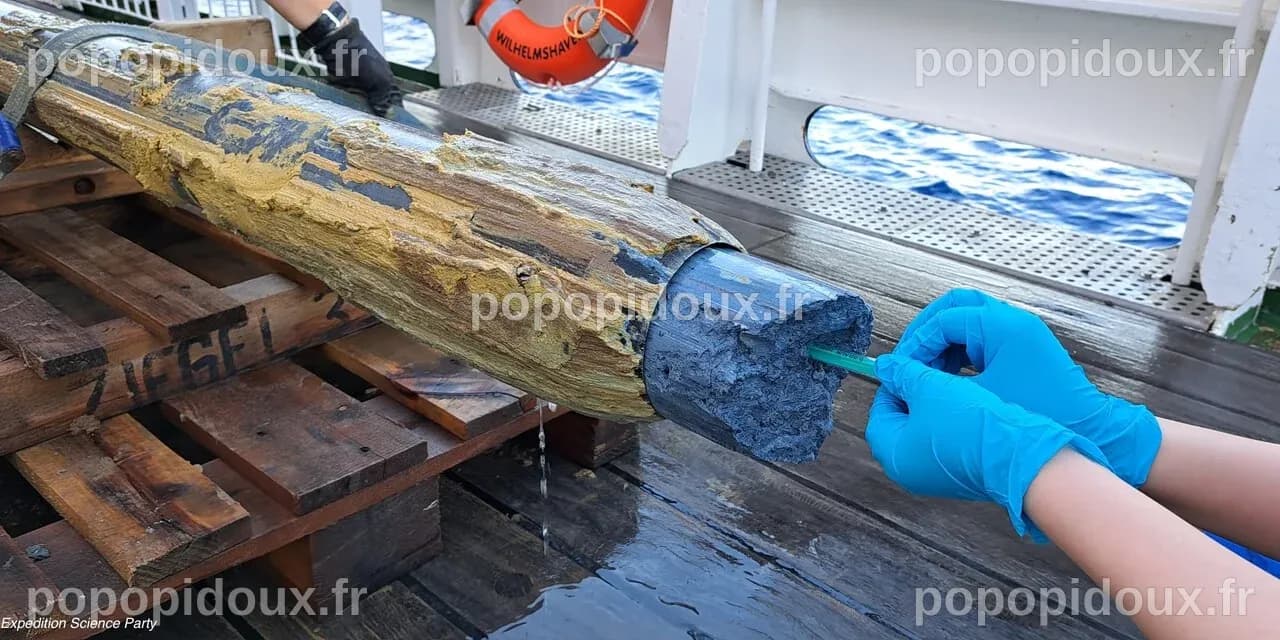 Une découverte inédite : des microbes antarctiques révolutionnent notre compréhension du climat