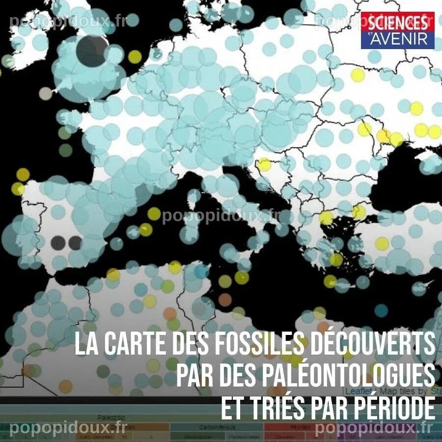 Votre avenir est-il déjà tracé ? Ce que révèle la science