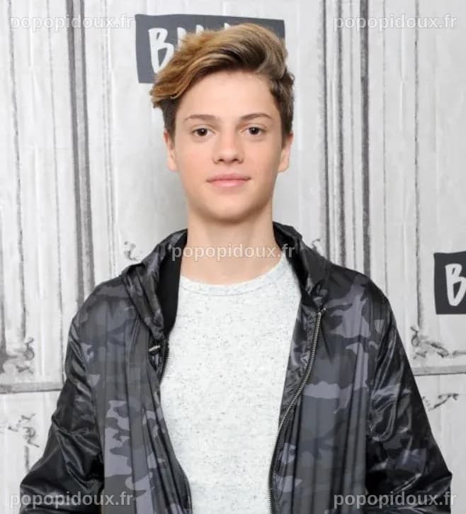 L'univers des acteurs de Henry Danger : Évolution et impact