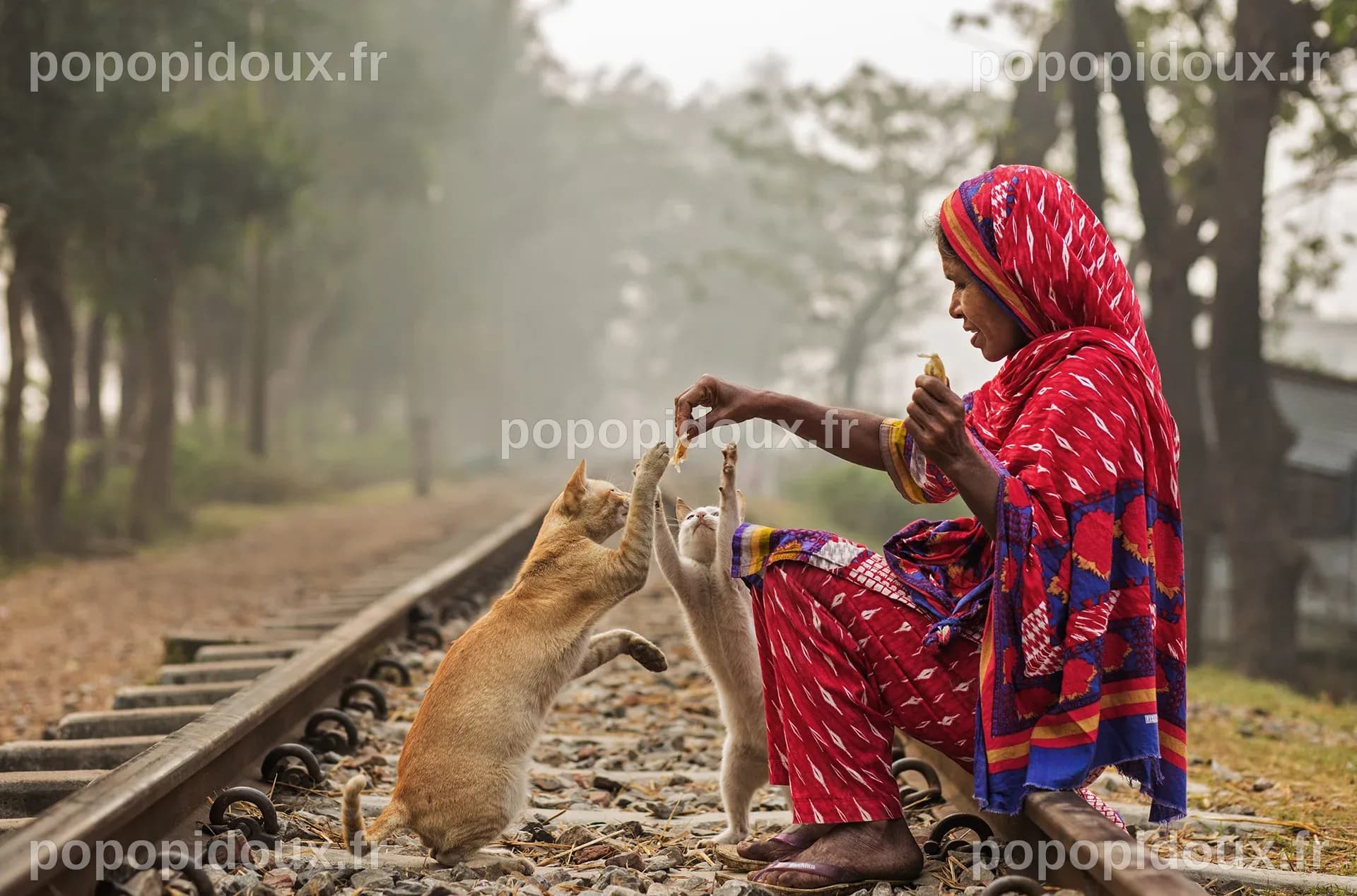Les Prix Mondiaux de Photographie Alimentaire 2026 : Découvrez la Sélection Officielle