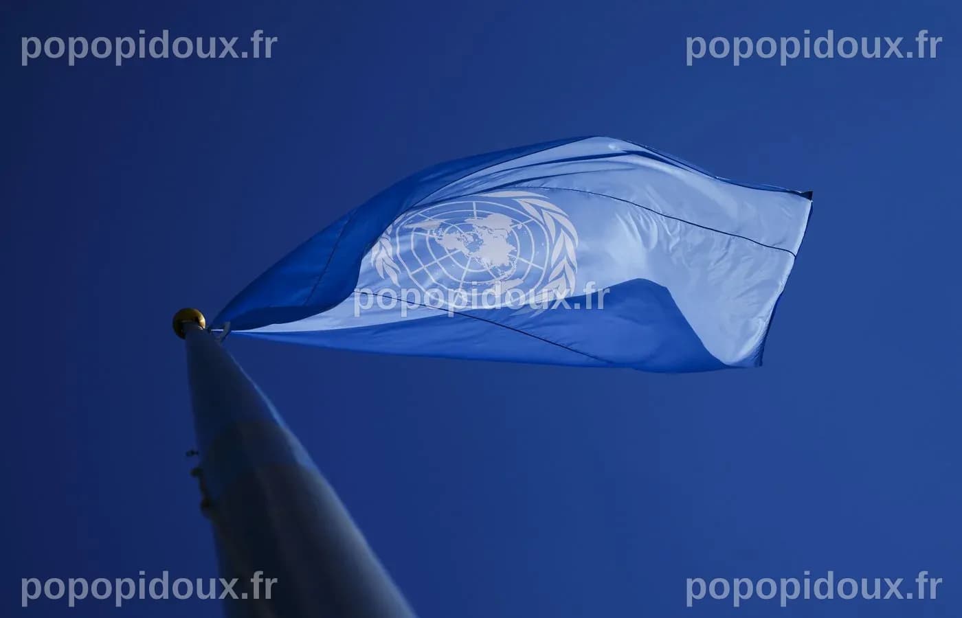 Une Première Nation de la Colombie-Britannique interpelle les Nations Unies sur ses droits