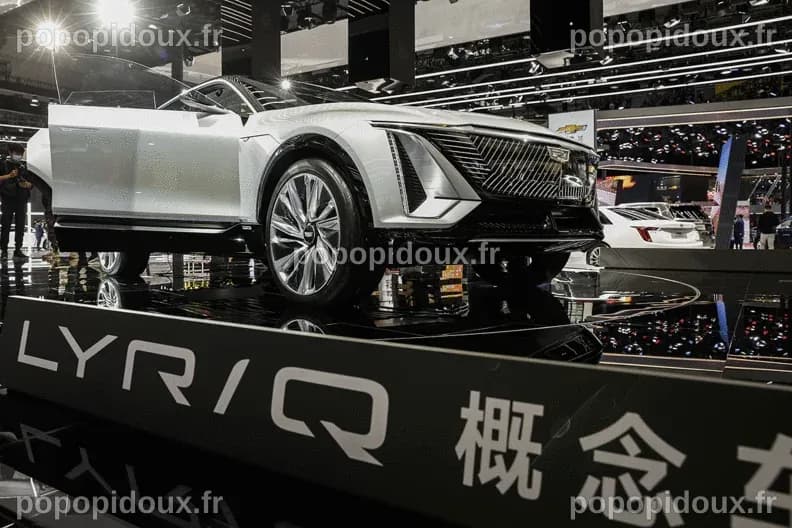 GM, Ford CEOs open to EV partnerships to compete with China ...