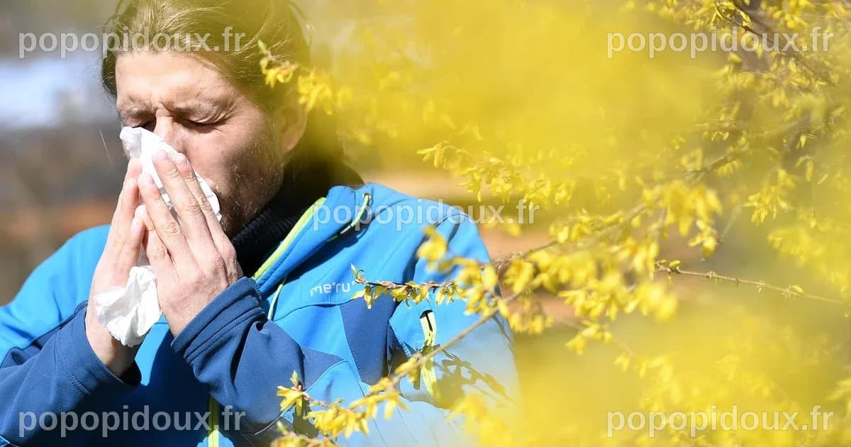 Une sécheresse prolongée provoque une saison de pollen explosive