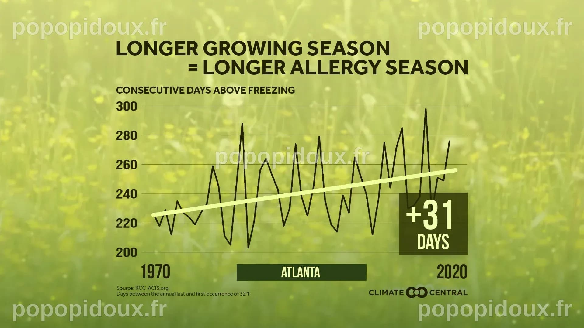 Pollen & Allergy Season | Climate Central
