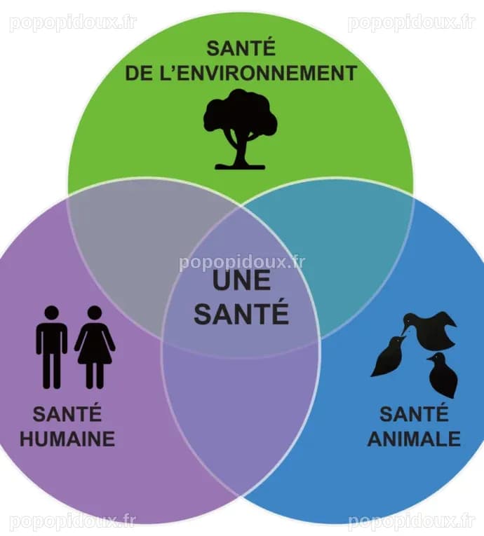 Le concept « One Health », fer de lance contre les maladies ...