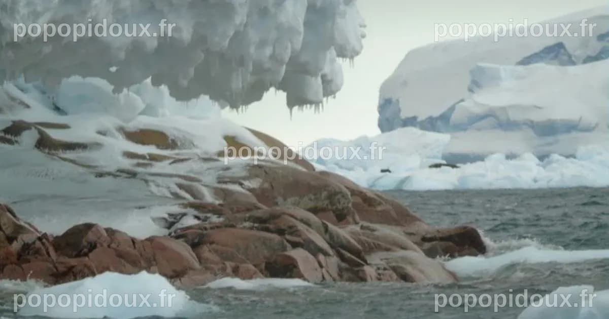 Une île inconnue émerge des glaces : Découverte inédite lors d'une tempête en Antarctique