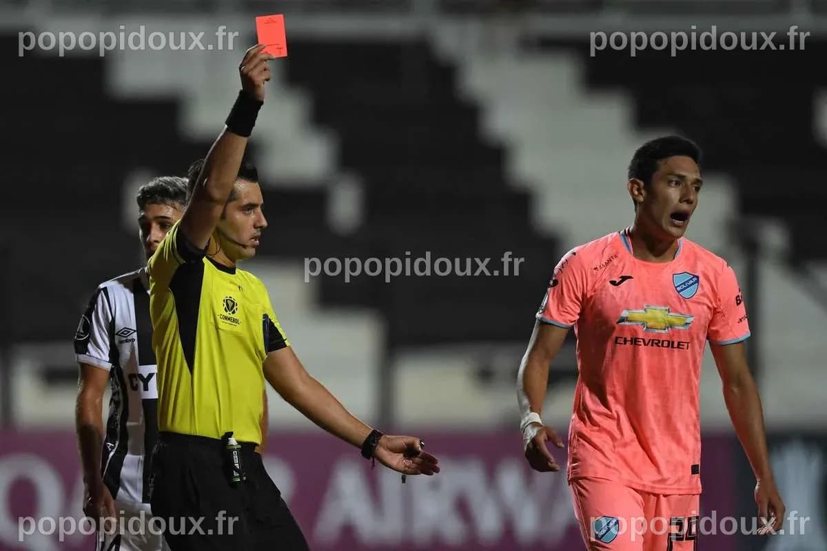 Bagarre générale et moments forts : Les temps forts de la Copa Sudamericana de mercredi