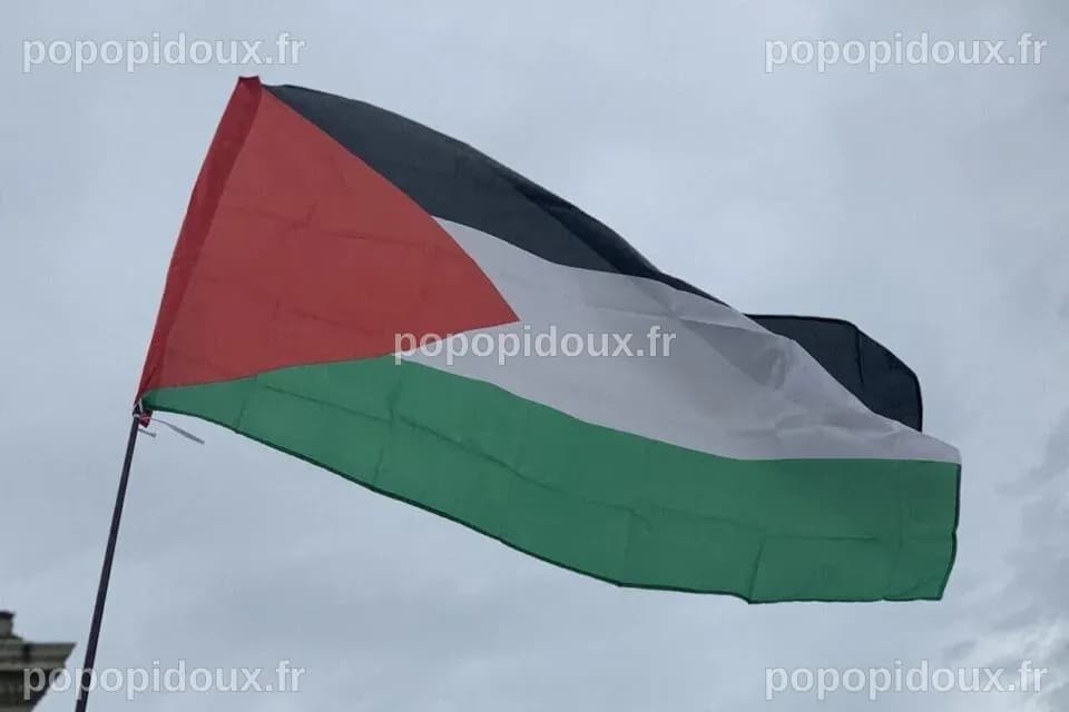 Polémique à Saint-Céré : la maire va hisser le drapeau palestinien, les ...