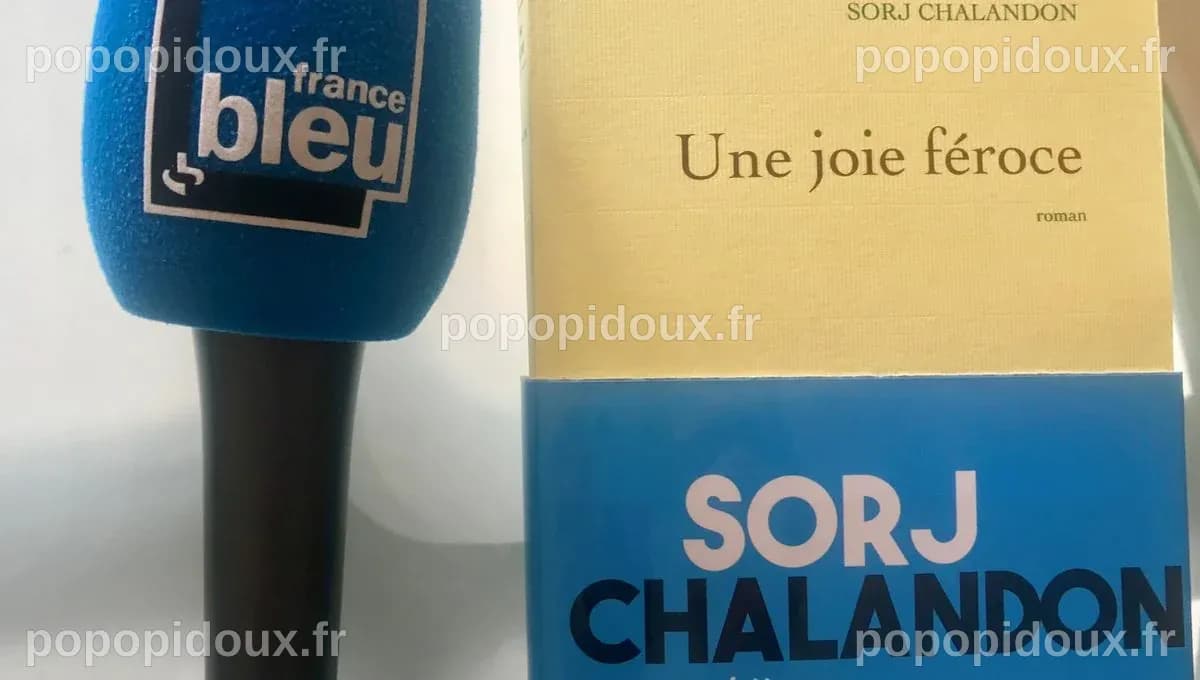ROMAN - Une joie féroce de Sorj Chalandon - ICI