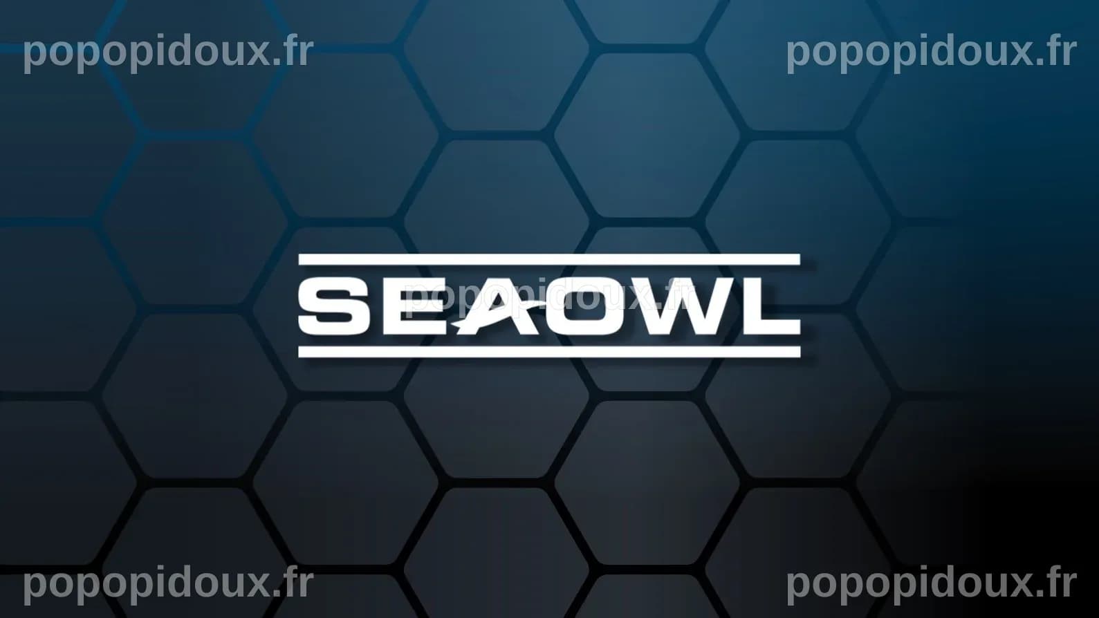 SeaOwl Technology Solutions investit 10 millions d'euros dans une nouvelle usine de drones navals près de Toulon