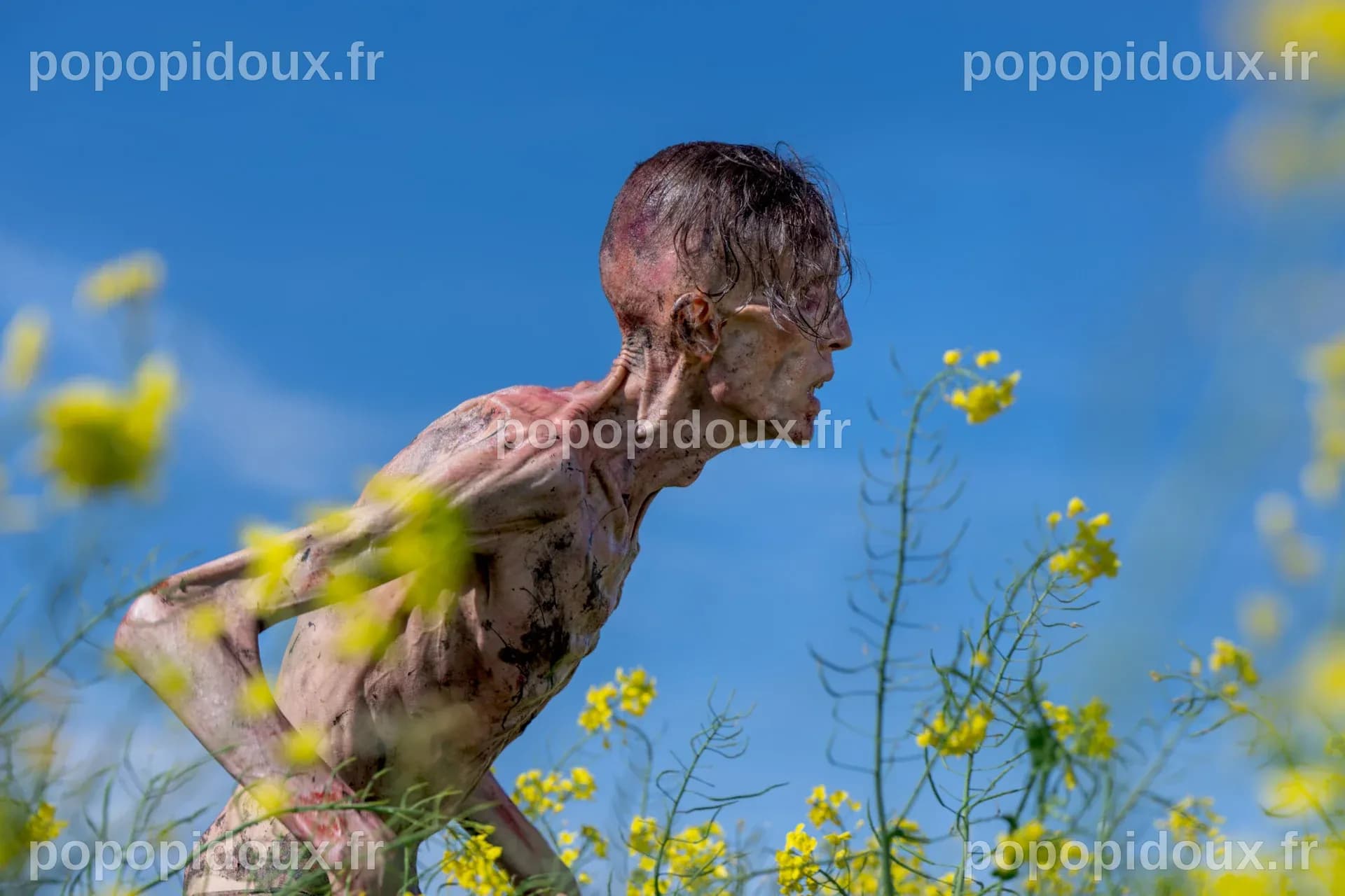 28 ans plus tard | Sony Pictures France