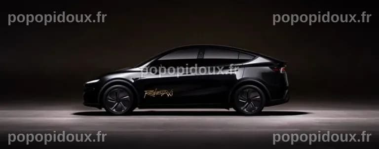 Tesla étend son service de robotaxi à Dallas et Houston