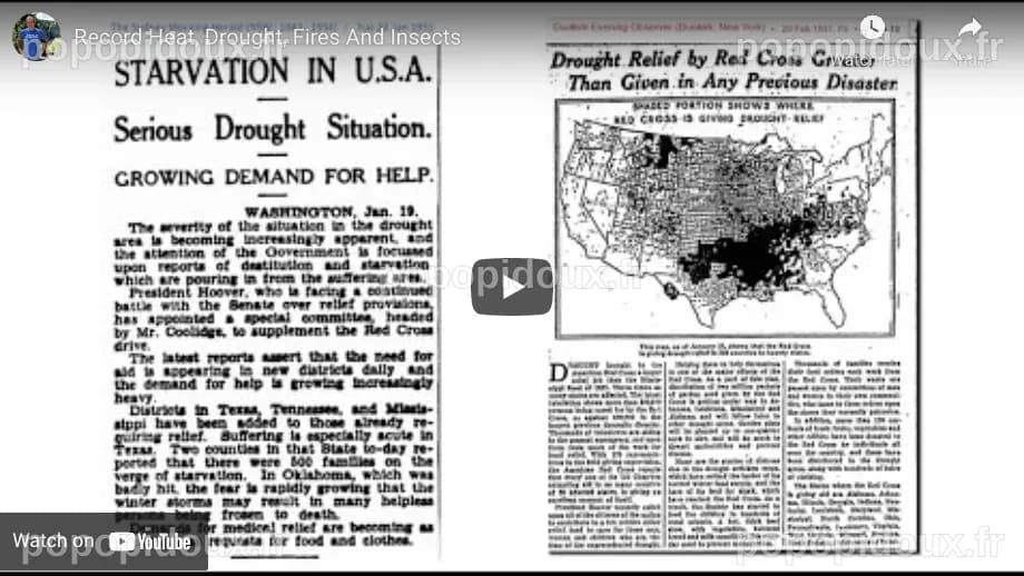 Record Heat, Drought, Fires And Insects – Globalist Lies Kill