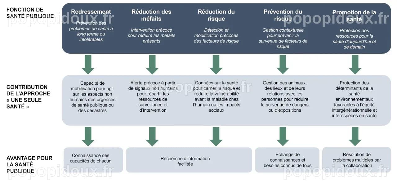 Entre le Sommet One Health et la réorganisation de Santé publique France : Le gouvernement en équilibre précaire