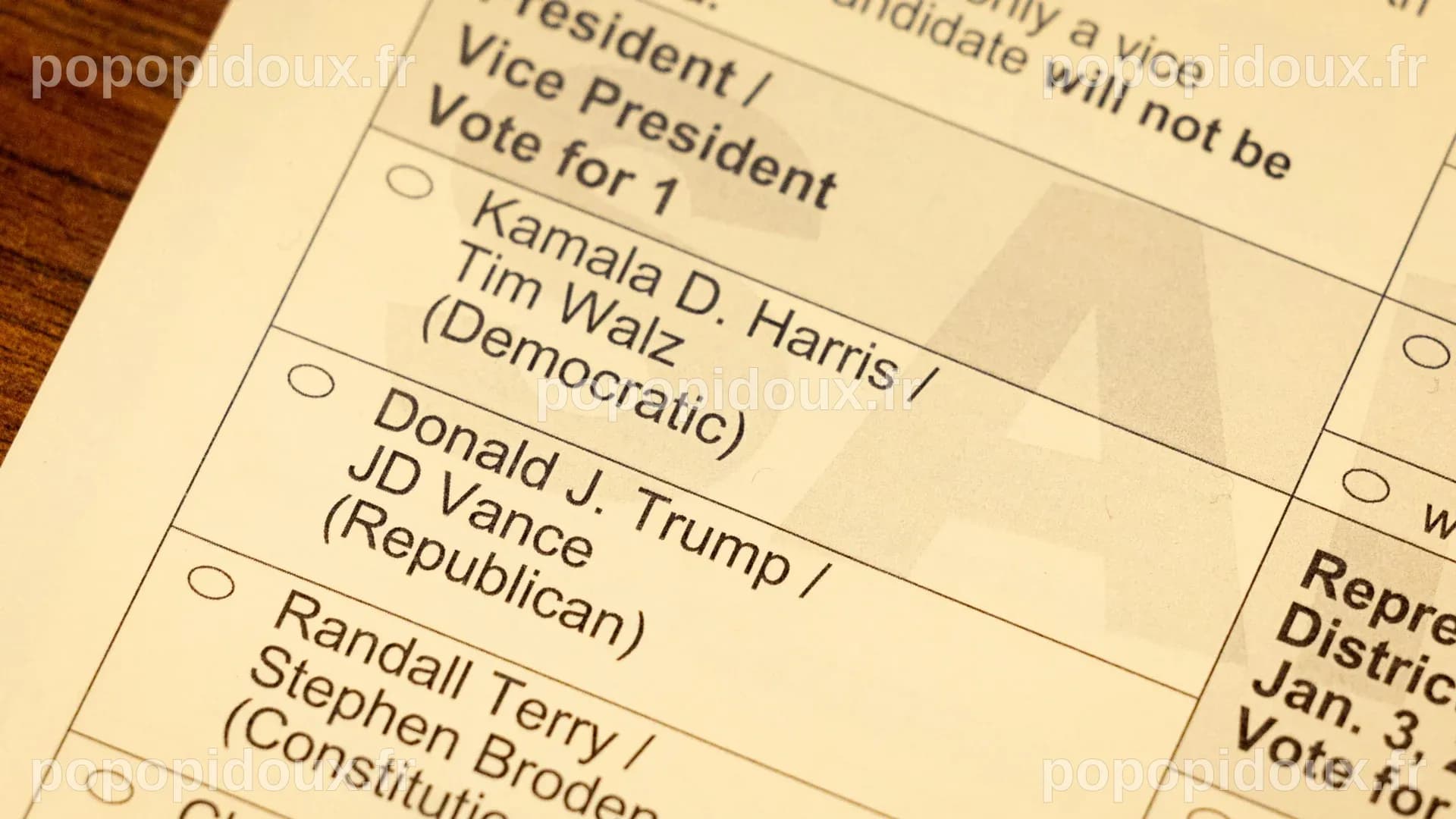 Élection américaine 2024: à quoi ressemble un bulletin de vote aux ...