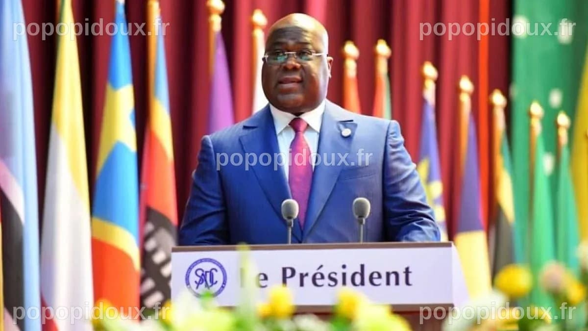 RDC : L'UDPS ouvre le débat sur la révision constitutionnelle